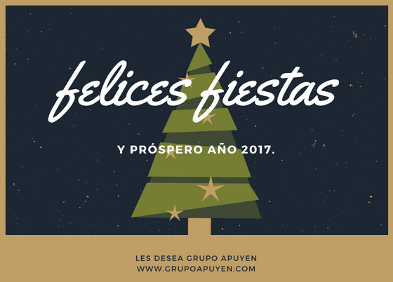 Grupo Apuyen les desea Felices Fiestas