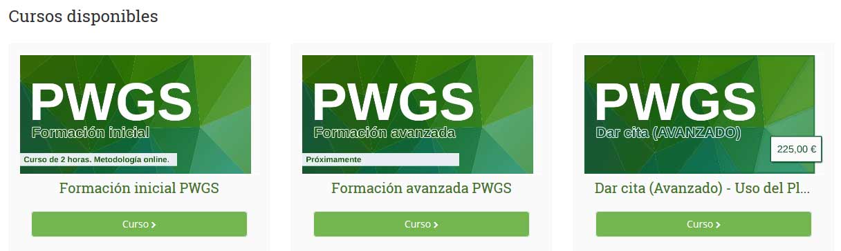 Cursos PWGS online